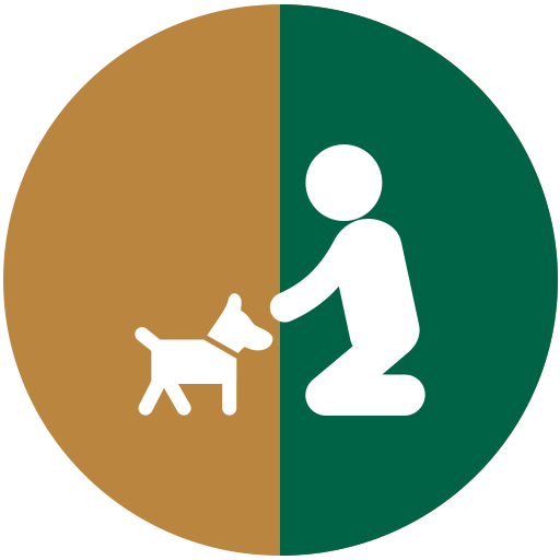 Dog Training