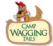 Camp Wagging Tails
