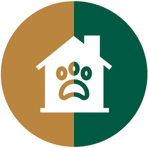 Dog Boarding